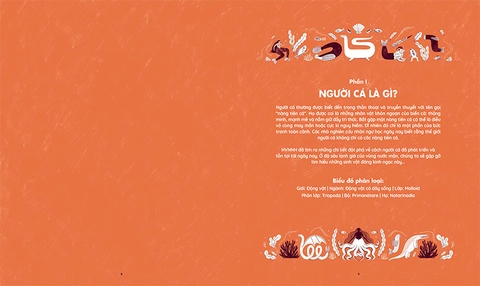 Những sinh vật huyền thoại - Thế giới bí ẩn của người cá