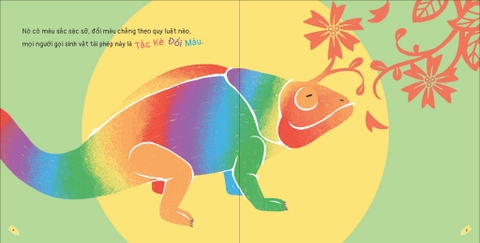 Kích thích trí tưởng tượng cho bé - Tắc kè đổi màu , cậu ở đâu ?