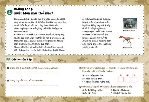 Bồi dưỡng kĩ năng đọc hiểu cho học sinh tiểu học - Thế giới khủng long