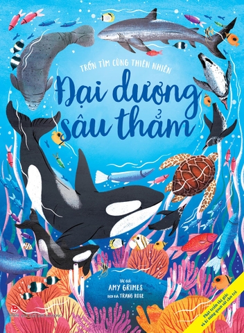 Combo Trốn tìm cùng thiên nhiên (4 cuốn)