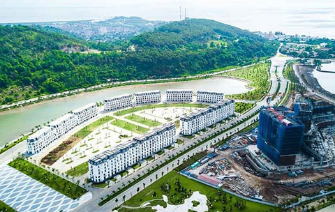 Dự án Thiết Kế Cây Xanh Dragon Đồ Sơn