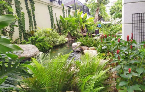 Dự Án Cây Xanh Cảnh Quan Sân Vườn Biệt Thự
