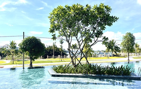 Dự Án Cảnh Quan Khách Sạn Làng Chài - Cửa Đại Hội An