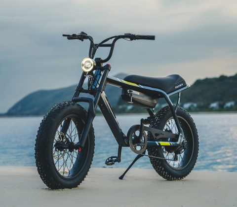 Xe đạp trợ lực điện Vinfast DrngFly