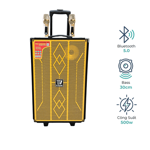 Loa Kéo Di Động EV-305PRO | Bass 30Cm 500W