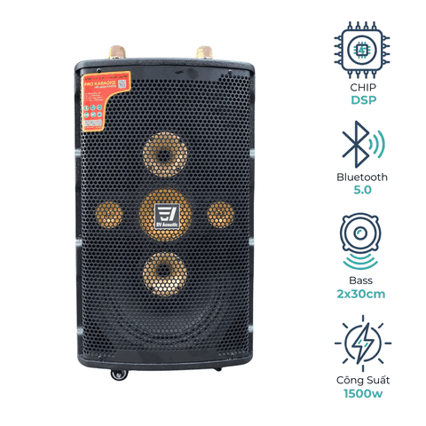 Loa Karaoke Xách Tay EV-733 EV ACOUSTIC Bass Đôi 30cm | Công Suất 1500W