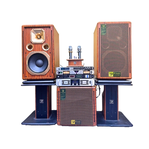 Bộ Dàn Karaoke Cao Cấp EV Acoustic P58 Luxury – Loa Full Bass 30, Âm Thanh Đỉnh Cao Cho Không Gian Đẳng Cấp