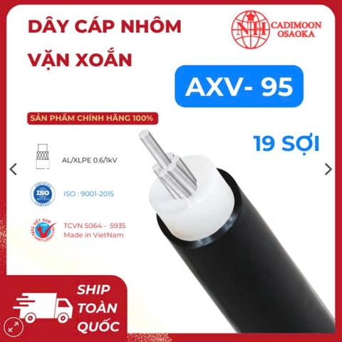 AXV 1c x 95 mm2 ( 2 lớp ) ( 19 sợi )
