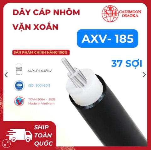 AXV 1c x 185 mm2 ( 2 lớp )  ( 19 sợi )