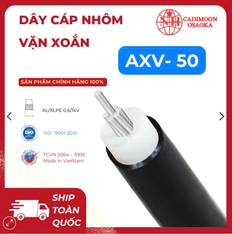 AXV 1c x 50 mm2 ( 2 lớp ) ( 7 sợi )