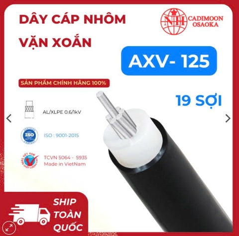 AXV 1c x 120 mm2 ( 2 lớp ) ( 19 sợi )