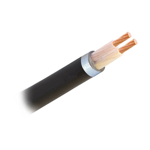 Cáp treo  CXV 2x10 mm²