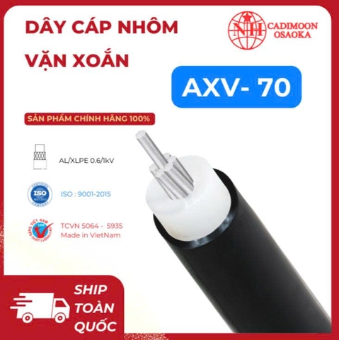 AXV 1c x 70 mm2 ( 2 lớp ) ( 7 sợi )