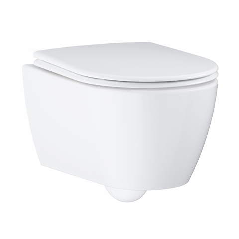 Thân bồn cầu treo tường GROHE Essence 3957100H