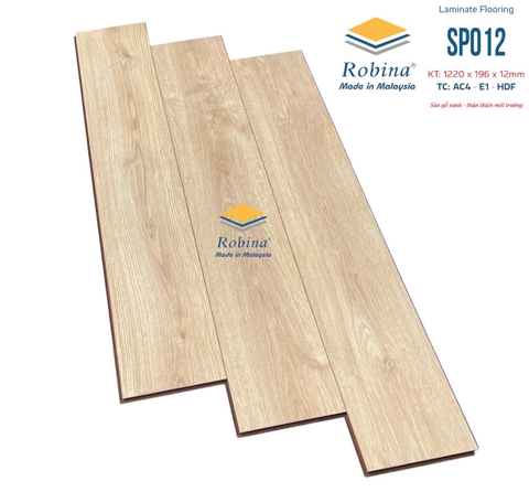 Sàn gỗ Robina SP012 12mm