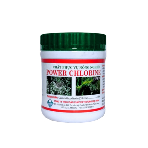 Bột tẩy rong rêu Power Chlorine