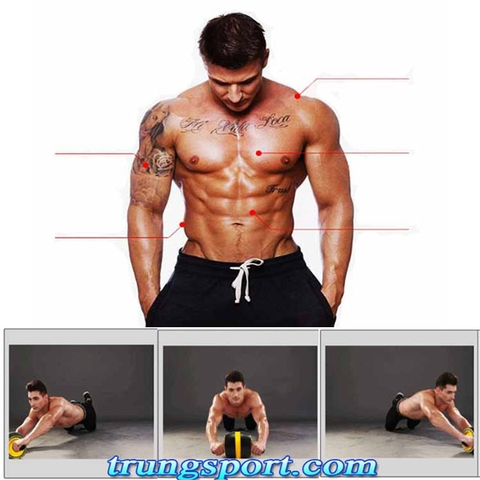 Con Lăn Tập Bụng Tự Lùi Carver Pro – Dụng Cụ Tập Gym Giảm Mỡ Bụng Tại Nhà Hiệu Quả