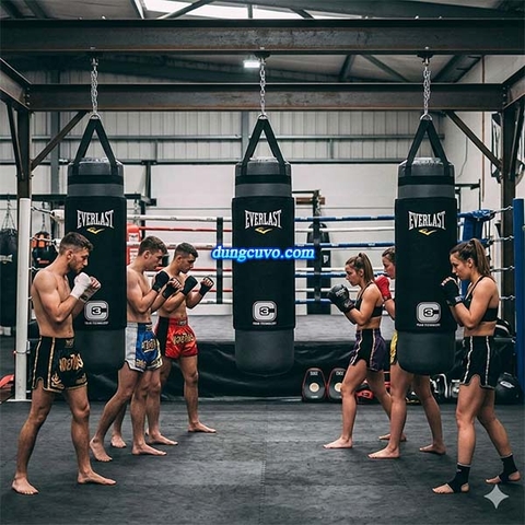 Bao Cát Đấm Bốc Everlast MMA C3 | 5 Lớp Chống Rách Siêu Bền