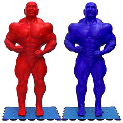 NGƯỜI NỘM SILICON 2 CHÂN