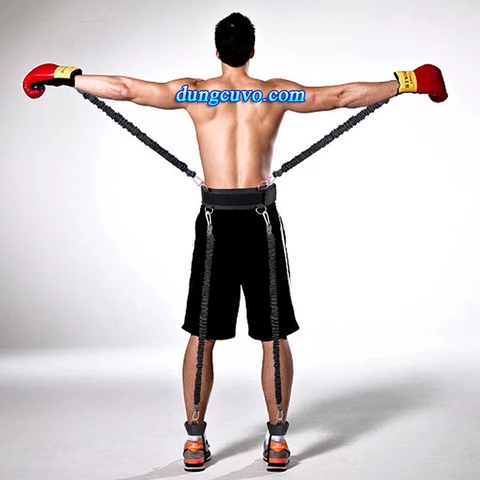 Bộ Dây Thun Tập Tay Chân Boxing MMA-Tăng Tốc Độ & Sức Mạnh Toàn Thân