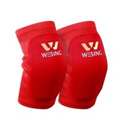 BẢO HỘ CHỎ WESING