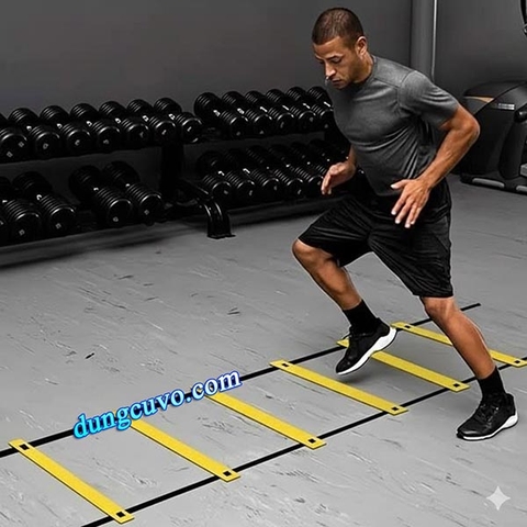 Dây Thang Tập Luyện Bộ Pháp Linh Hoạt, Huấn Luyện Phản Xạ Nhanh