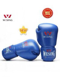 GĂNG TAY BOXING DA WESING