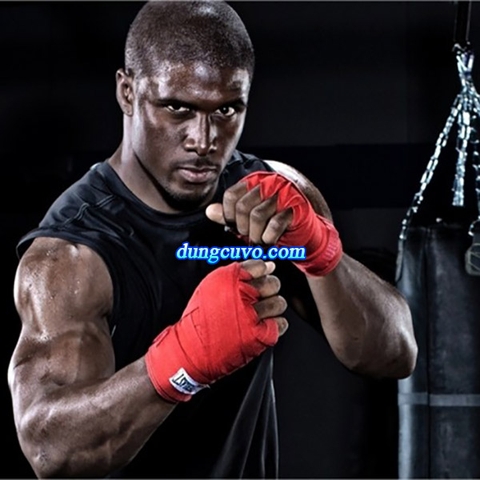 Băng Quấn Tay Everlast | Băng Đa Boxing Cao Cấp
