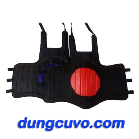 GIÁP VÕ CỔ TRUYỀN