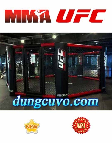 SÀN ĐÀI TẬP LUYỆN MMA UFC