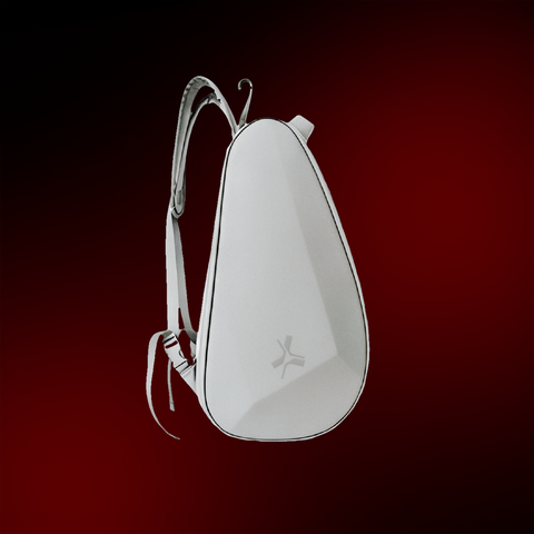 Astra Gemini 2-in-1 Backpack