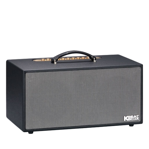 🎵 BÙNG NỔ ÂM THANH - THẮP LỬA CUỘC VUI CÙNG LOA ACNOS CS450SRV PLUS! 🔥