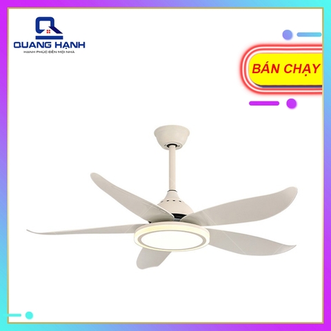 Quạt trần trang trí HomeFan HL-FAN089