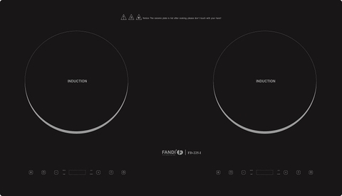 Bếp từ Fandi FD 225I