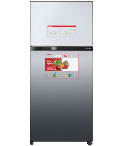 Tủ lạnh Toshiba Inverter 608 lít GR-AG66VA (X)