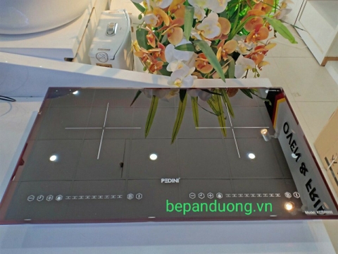 Bếp từ đôi cao cấp Pedini KCSR 666
