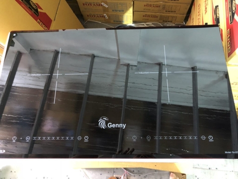 Bếp từ đôi Genny Gn-01T