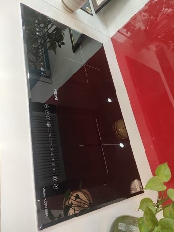 Bếp từ đôi cao cấp Pedini KCSR 666G