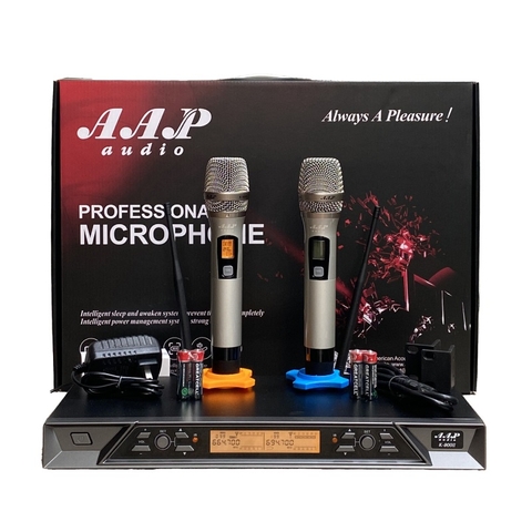Micro AAP K-900 II