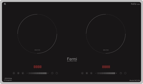 Bếp từ Fermi NG 004