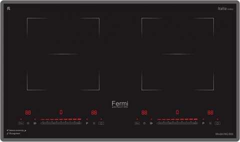 Bếp từ Fermi NG 006