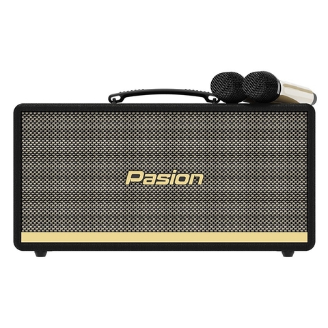 Loa Paramax Pasion 2