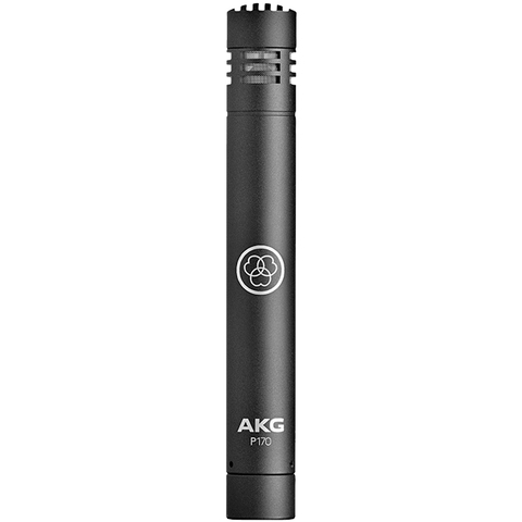 Micro Nhạc Cụ AKG P170