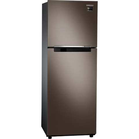 Tủ lạnh Samsung Inverter 236 lít RT22M4040DX/SV