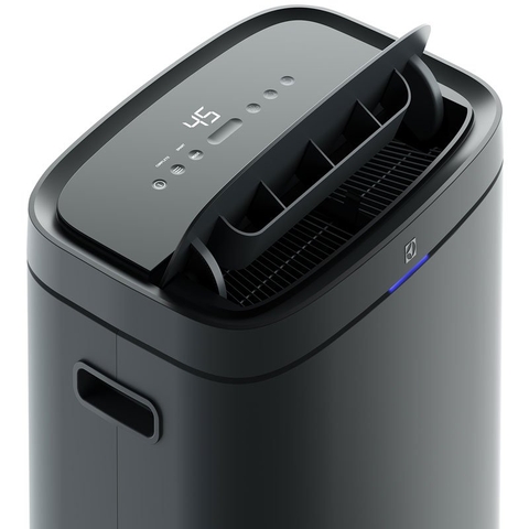 Máy hút ẩm Electrolux EDH12TRBD2