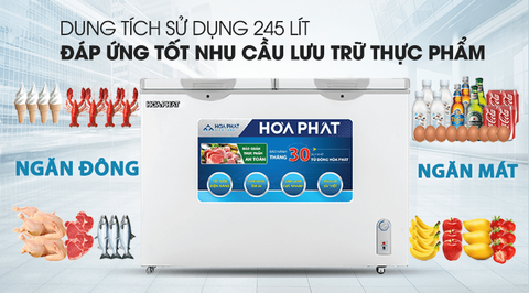 Tủ đông Hòa Phát 245 lít HCF 606S2Đ2