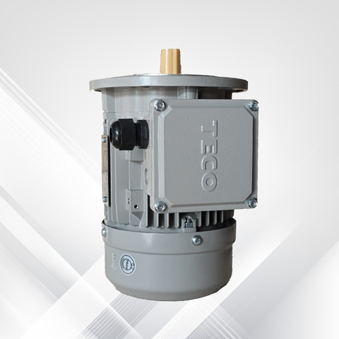 Động cơ điện Teco 0.37kw mặt bích