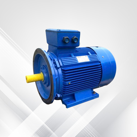 Động cơ điện Electrim