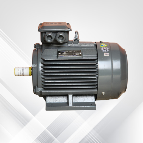 Động cơ điện TECO