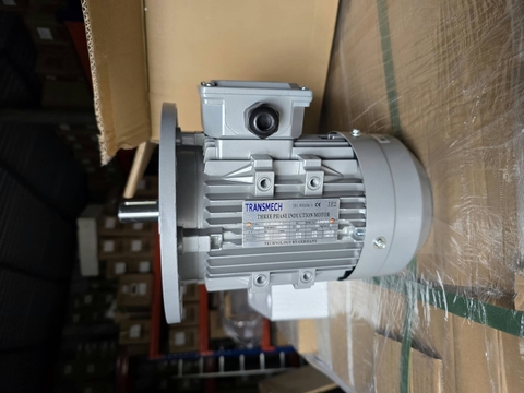Động cơ điện Transmech mặt bích